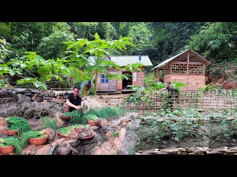 Видео: Жизнь в одиночестве в горах: садоводство, выращивание овощей и сбор лука