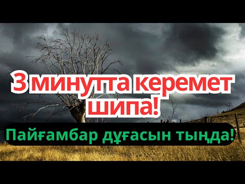 Видео: Пайғамбар дұғасымен 3 минутта-ақ айығасың!