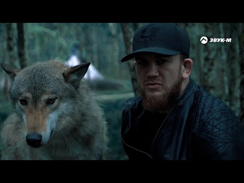 Видео: Эльдар Агачев - Волки | Премьера клипа 2022
