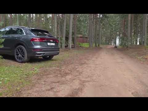 Видео: Прогулка по турбазе "Чайка" август 2025 г.