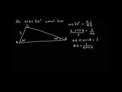 Видео: Математика 9 клас. Задачи от решаване на правоъгълен триъгълник.