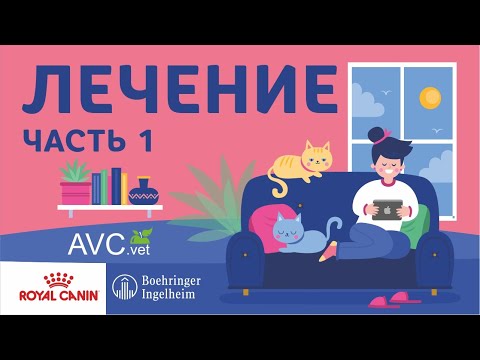 Видео: Лечение ХБП у кошек. Часть 1.