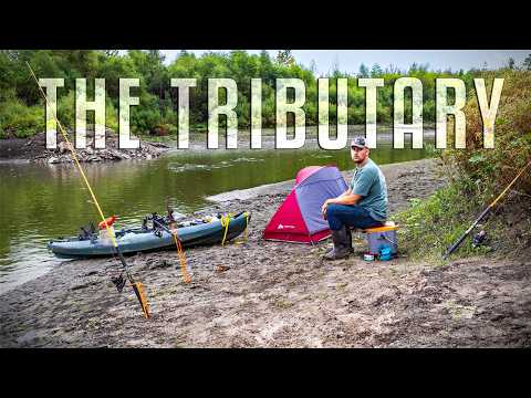 Видео: Приток | В погоне за рыбой легенд