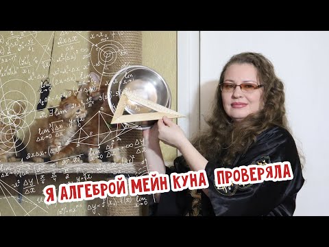 Видео: Переноска, когтеточка и миски для Мейн Куна