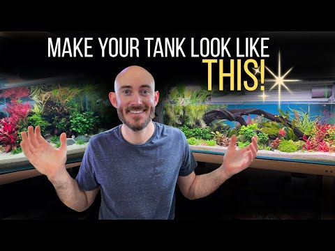 Видео: Ваш аквариум помутнел? Попробуйте это простое решение!