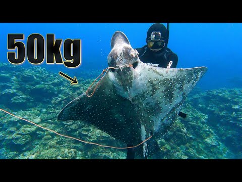 Видео: Жизнь рыбака на месяц, №12: Поймал 50-килограммового чудовищного ray