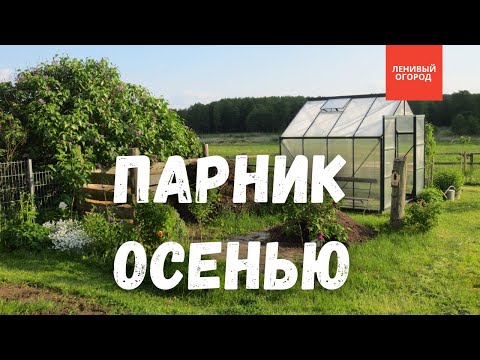 Видео: Теплица после сбора урожая | Подготовка теплицы к зиме | Обработка теплицы осенью| Теплица в октябре