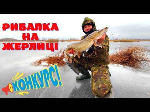 Видео: ЗИМОВА РИБАЛКА на ЖЕРЛИЦІ 2023! ЩУКА МОНСТР ЛАМАЄ ЖЕРЛИЦЮ!!! ПОШУК ОКУНЯ! + КОНКУРС!!!