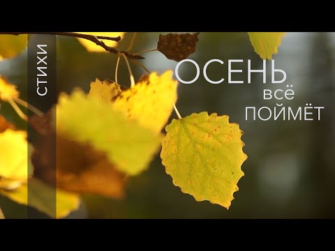 Видео: Осень всё поймёт | стихи