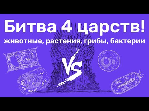 Видео: Сравнение 4 царств (животные, растения, грибы и бактерии).