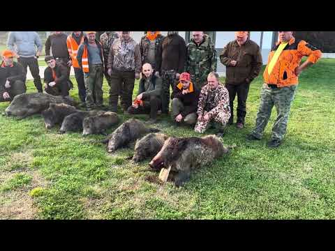 Видео: 2 ноември 2025 г.