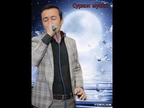 Видео: Албоми сафарали ражабзод  2024