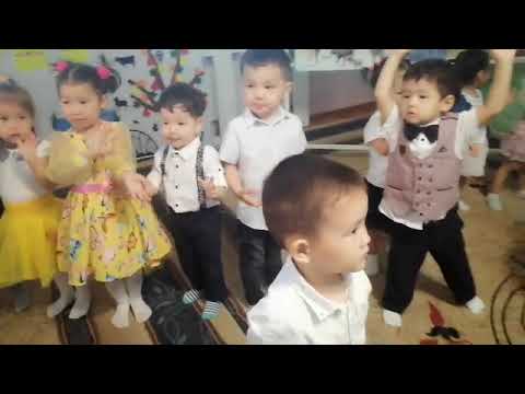 Видео: "Балапан" тобы "Жануарлар әлемі" тақырыбында ашық сабақ. Тәрбиеші Сүлейменова Назира