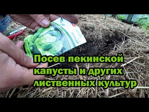 Видео: Уплотняем посадки в теплице