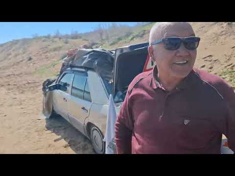 Видео: Три друга на Шардаре 👍🤝🐳