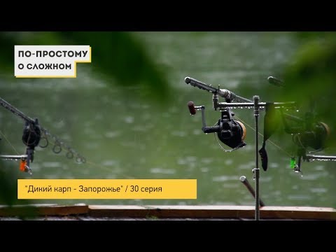 Видео: "Дикий карп - Запорожье" \ "По простому о сложном" - 30 серия 1 часть.