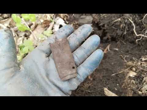 Видео: о. Русский . Поиск артефактов !