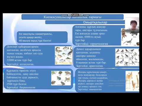 Видео: Омыртқасыз, омыртқалы жануарлардың сыртқы құрылысындағы ерекшеліктер  7сынып