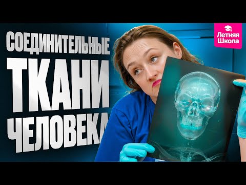 Видео: 3. Соединительные ткани человека | Летняя школа | ЕГЭ-2026 по биологии