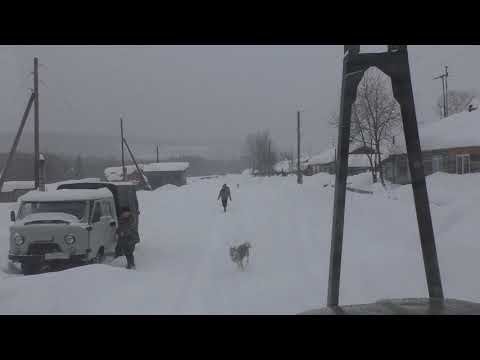 Видео: Посёлок Вишерогорск и Сторожевая. Красновишерский район. Привез осину на сруб.