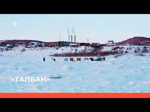 Видео: «Талбан» биэриигэ: Дьэһиэй һахаларыгар айан. 1-кы чааһа (03.05.23)