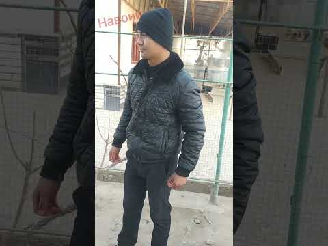 Видео: Навоийда йу́л ту́сар ИИБ ходимлари , Ёки саводсизми ? 🤔.  2-қисм