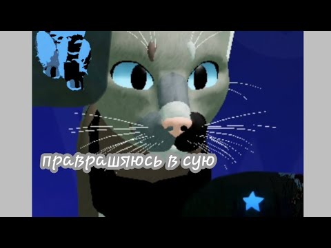 Видео: я пиреврашяюсь в сую