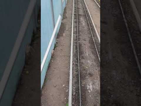 Видео: Оптимальный размер для теплиц. Стандарт для конструкций под овощи -9,2м на 50м (460кв.м.)