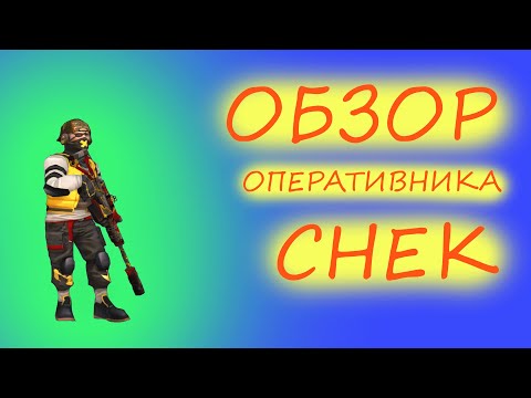 Видео: ОБЗОР оперативника СНЕК  [TACTICOOL]