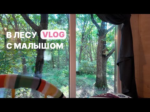 Видео: август: разговоры о материнстве в лесу и встреча с ёжиком