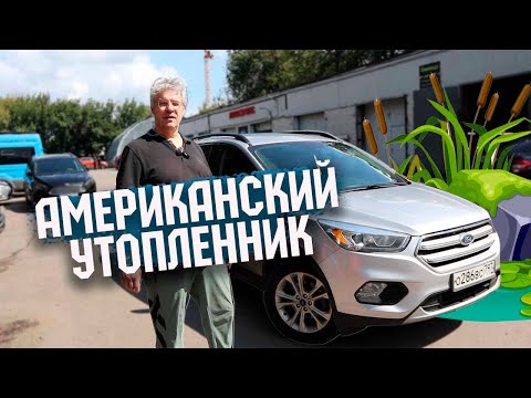 Видео: Утопленник из Америки Ford Escape