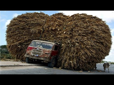Видео: ОНИ НЕ ЗНАЮТ ЧТО ТАКОЕ ПЕРЕГРУЗ