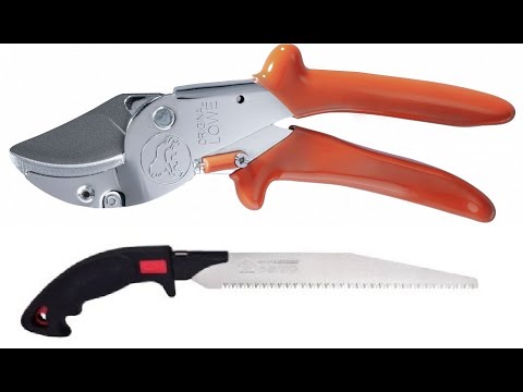 Видео: Секатор Lowe10. 107 и японская пила Z saw Н 210 . Мой отзыв и тест.
