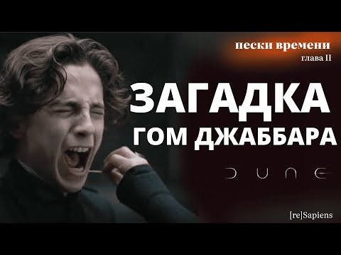 Видео: ДЮНА: Загадка гом джаббара. По следам римского героя