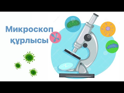 Видео: Микроскоп құрлысы