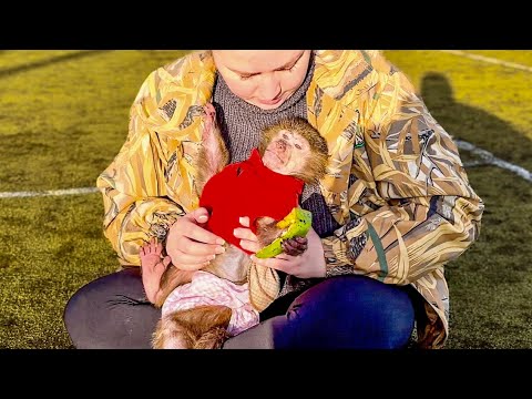 Видео: Анфиса принимает СОЛНЕЧНЫЕ ВАННЫ, а Финик стал взрослым и УБЕЖАЛ ОТ НАС!