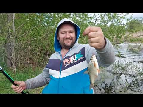 Видео: Оце  РЕЗУЛЬТАТ 👍Ловим синця на річьці Сула!!!