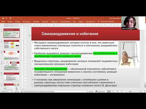 Видео: Физиология эмоций