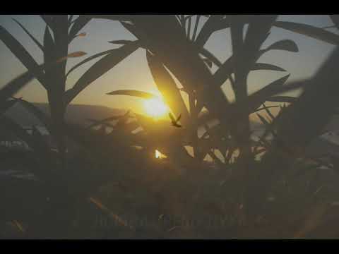 Видео: СИЛА И ЛЮБОВ НИ ДАЙ!