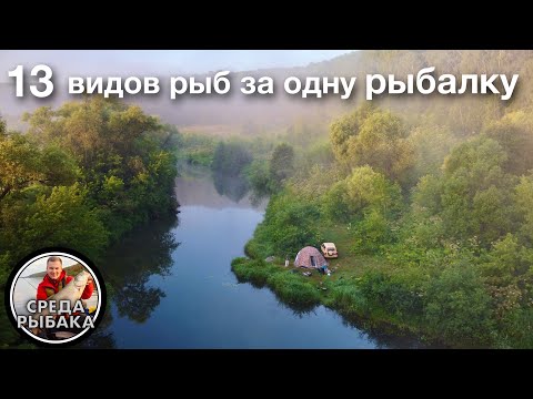 Видео: Рыбалка с ночевкой! Двое суток В РАЙСКОМ МЕСТЕ в ожидании ЛЕЩА | Быт и Еда На Костре | 2021