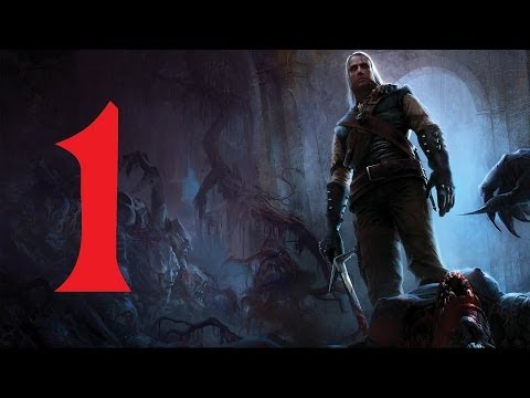 Видео: The Witcher Прохождение Серия 1 (Начало)