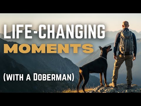 Видео: 11 невероятных впечатлений, которые можно получить только с доберманом