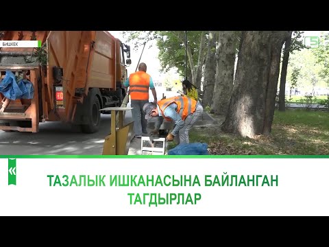 Видео: Тазалык ишканасына байланган тагдырлар