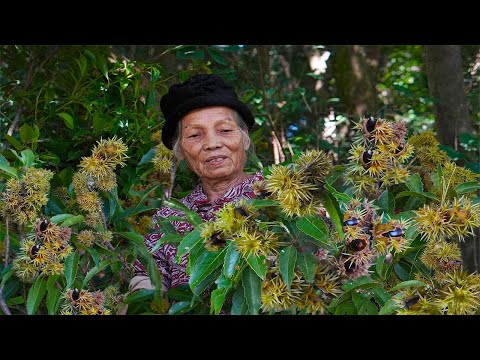 Видео: Бабушка использует колючие ингредиенты для приготовления китайской выпечки