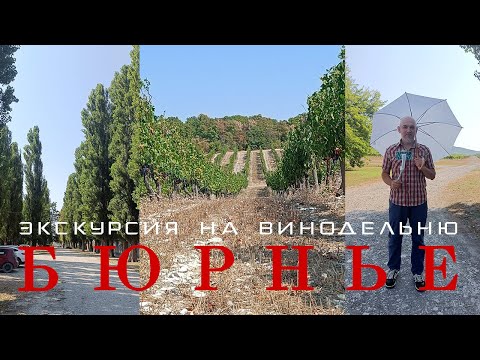 Видео: Экскурсия на винодельню Бюрнье и "Люблю" белое 2019