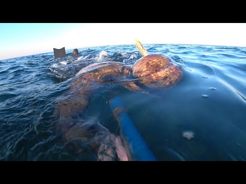 Видео: ПО. ФАРТ ещё ни кто не отменял ).