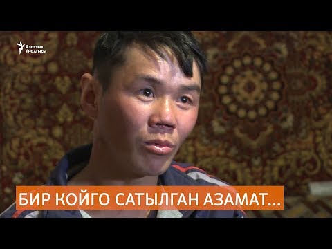 Видео: Бир койго сатылган Азамат...