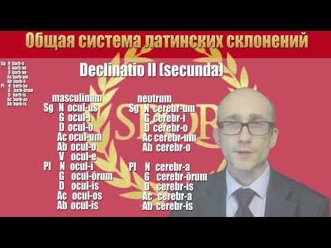 Видео: Латинская морфология: общий обзор 5 склонений