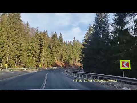 Видео: Закарпаття, Торунський перевал🌲💖❄️