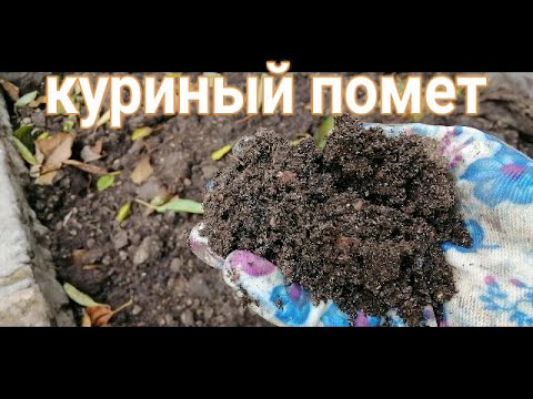 Видео: 🕓❓КУРИНЫЙ ПОМЕТ. КАК ИМ УДОБРЯТЬ. ОСЕННЕЕ ВНЕСЕНИЕ В ОГОРОД И САД. НОРМА